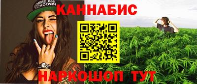 индика Ленинск-Кузнецкий