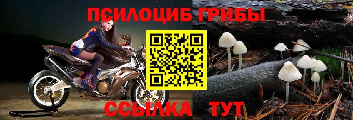 Чусовой  Псилоцибиновые грибы Cubensis  Вход с VPN 