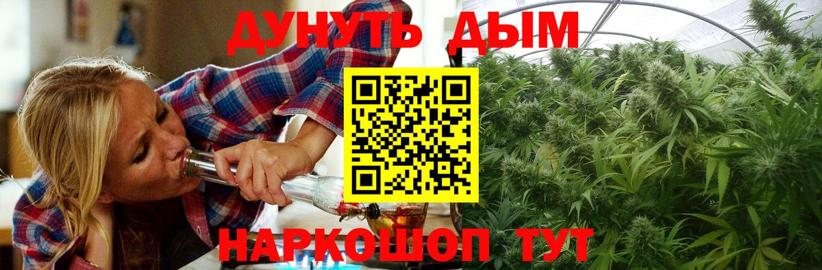 Конопля план  Бошки Шишки SATIVA & INDICA  Чусовой  Бошки марихуана White Widow  Вход с VPN 